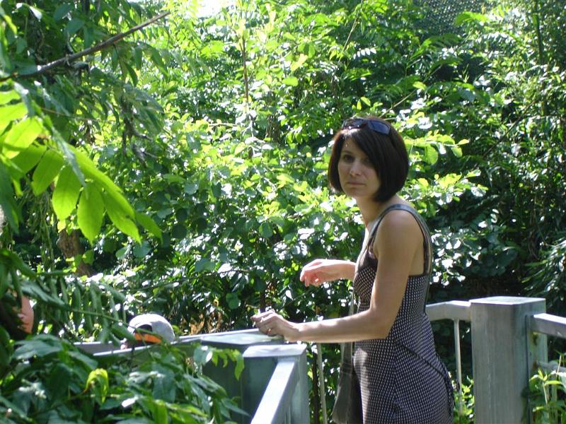 Parc des oiseaux (7)